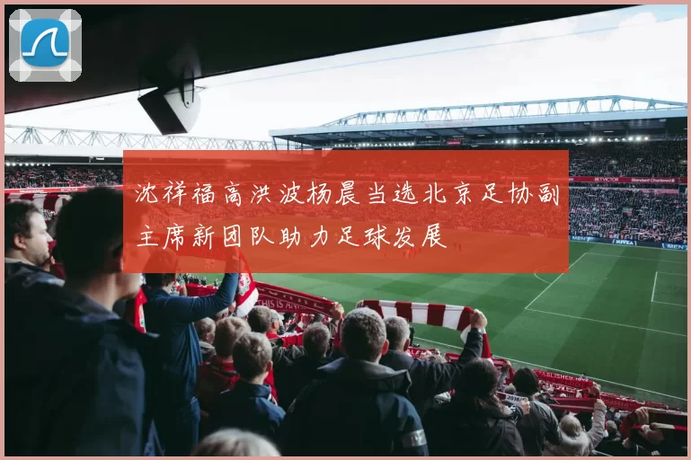 沈祥福高洪波杨晨当选北京足协副主席新团队助力足球发展